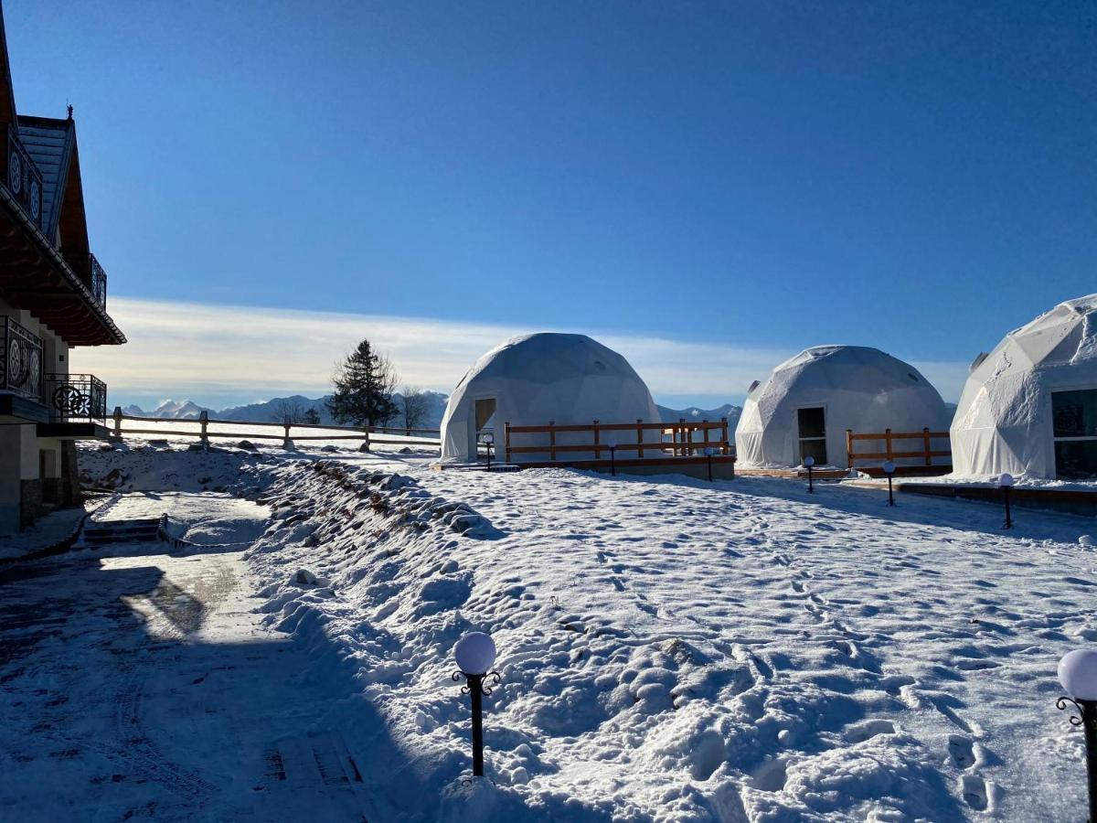 Glamping Pasieka Namiot Glamp Bukowina Tatrzanska - Domki W Gorach Groń Buitenkant foto