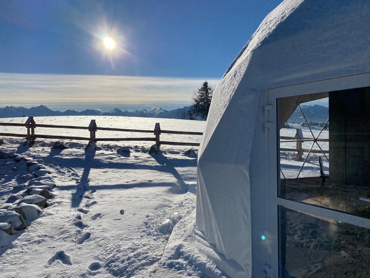 Glamping Pasieka Namiot Glamp Bukowina Tatrzanska - Domki W Gorach Groń Buitenkant foto