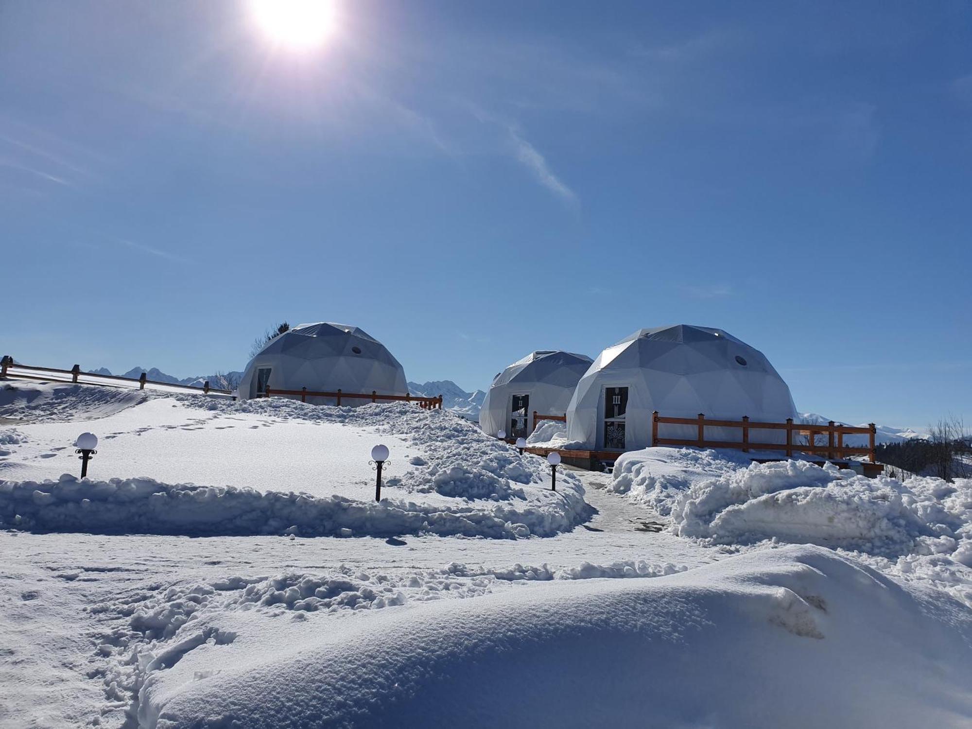 Glamping Pasieka Namiot Glamp Bukowina Tatrzanska - Domki W Gorach Groń Buitenkant foto