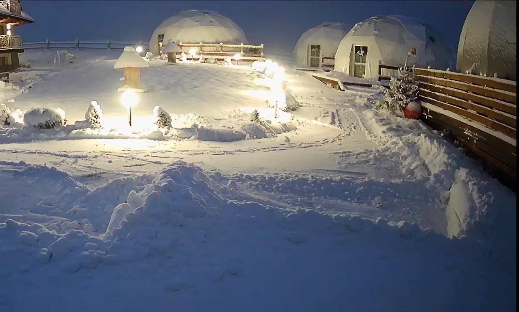 Glamping Pasieka Namiot Glamp Bukowina Tatrzanska - Domki W Gorach Groń Buitenkant foto